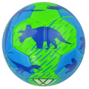 Dinosaur Soccer Ball Outdoor